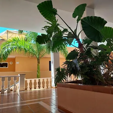 Ocean View Appartement *